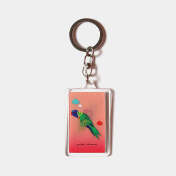 A rectangle keyring with a moving image of a rainbow lorikeet flying against an orange background.