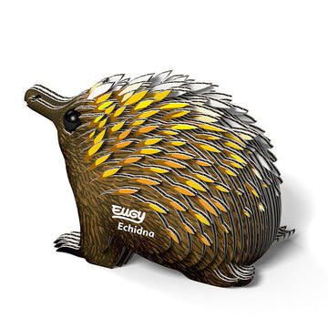 EUGY Echidna