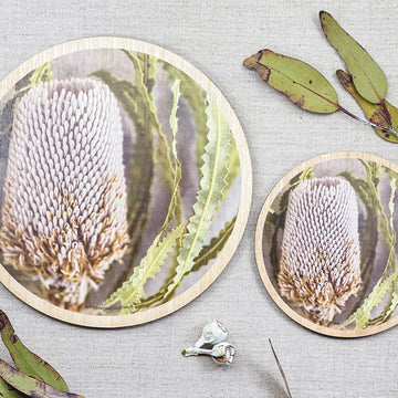 Trivet Large Botanic Banksia Flower Coloured - ButtonWorks