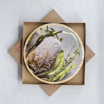 Table Mat Round Botanic Banksia Flower Coloured Set of 4 - ButtonWorks