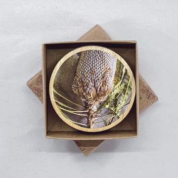 Coaster Round Botanic Banksia Flower Set of 6 - Buttonworks