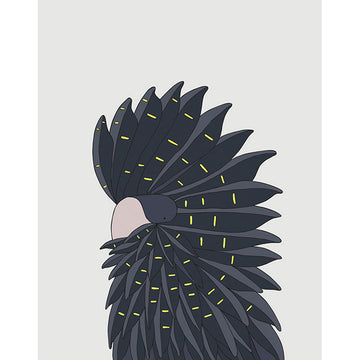 Print Medium Red Tailed Black Cockatoo - Eggpicnic