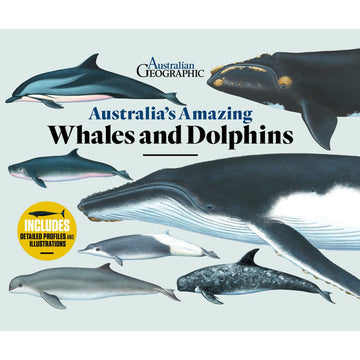 'Australia's Amazing Whales and Dolphins' book cover featuring illustrations of seven different whales and dolphins.