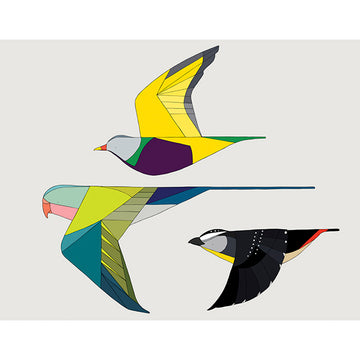 Print Medium  Birds of Australia Trio- Eggpicnic