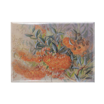 Magnet Eucalyptus Blossom Painting By Ellis Rowan - The Kennedy Collection