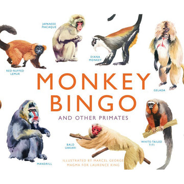 'Monkey Bingo' box cover featuring illustrated monkeys next to their name.