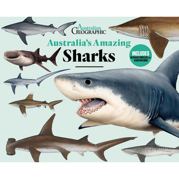 'Australia's Amazing Sharks' book cover featuring images of eight dfiferent sharks surrounding the book title.