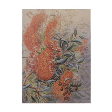Note Book Eucalyptus Blossom - Trevor Kennedy Collection