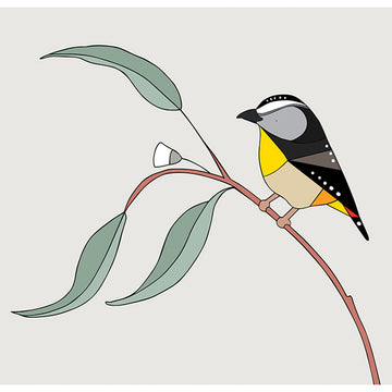 Print Small Spotted Pardalote & Eucalyptus 21x21cm - Eggpicnic