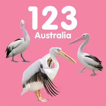 123 Australia book cover featuring a pink background with three pelicans on the front.
