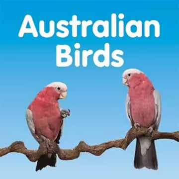 'Australian Birds' book cover featuring a blue background with two galahs on a tree branch.
