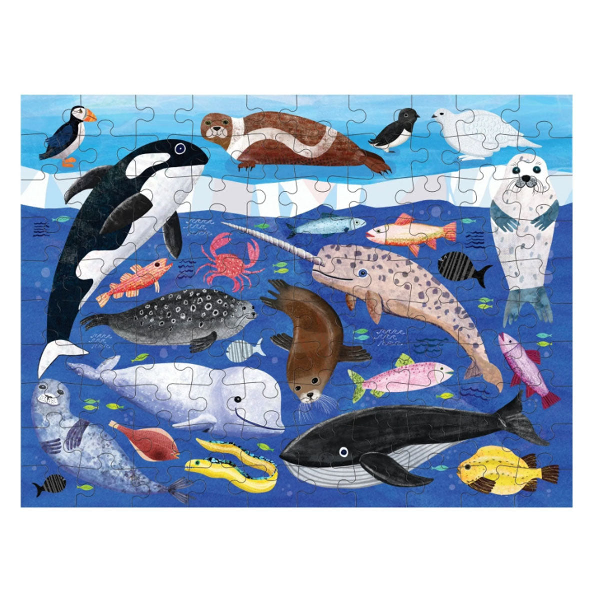 Whale Star - Jigsaw Puzzle 1000 Pieces - If Our Beginnings Were Different