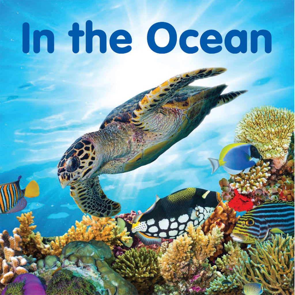 In the Ocean-Board Book – National Museum Australia