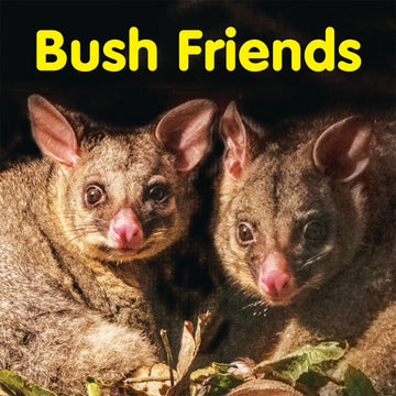 'Bush Friends' book cover featuring a photo of two animals close up.