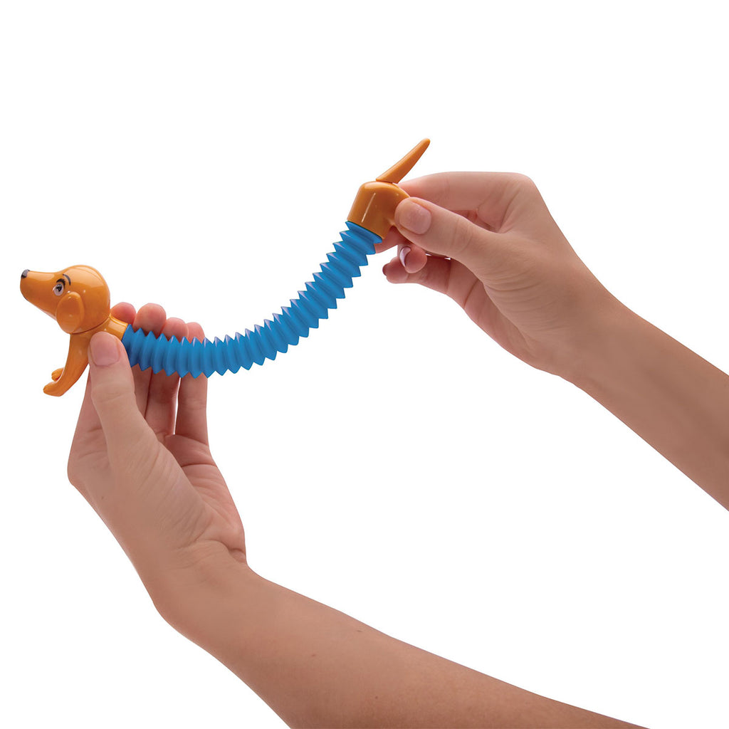 Springy Sausage Dog Assorted - Isalbialbi – National Museum Australia