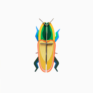 A 3D cardboard model of a madagascar beetle.