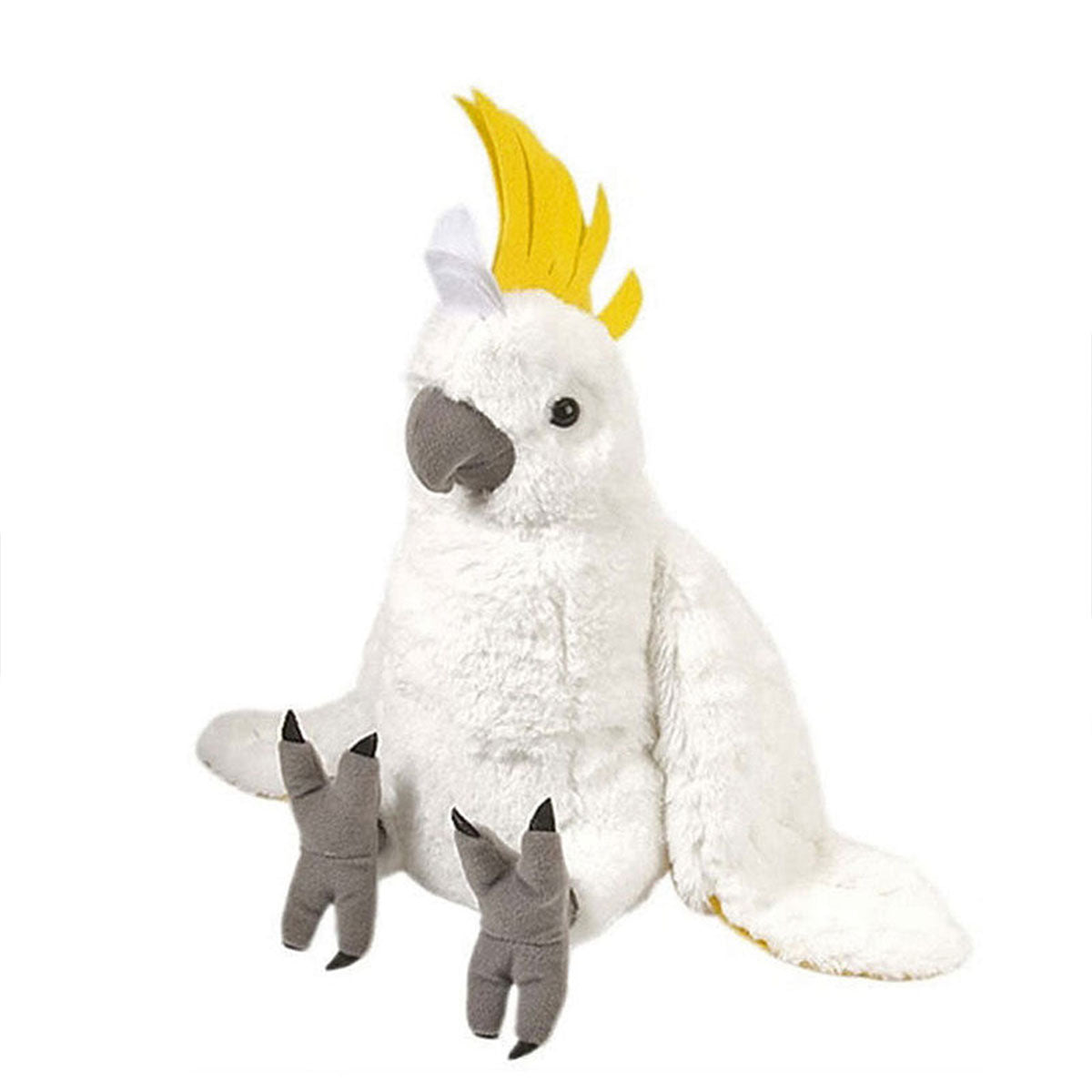 Cockatoo - CK Cockatoo - CK