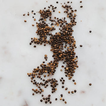 A black tall canister with a black lid and white round label on the front with the text 'Warndu Feel Good Wattleseed Balsamic Vinegar'.