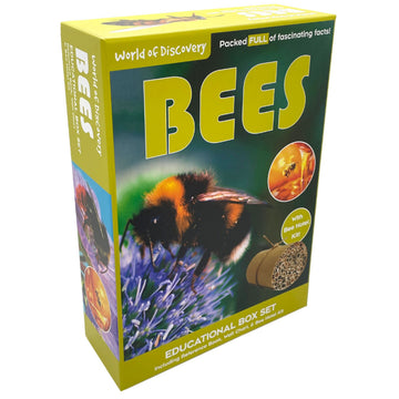 A green box with the title 'Bees' and a close up photo of a bee on a purple flower and a photo of the bee hotel kit inside.