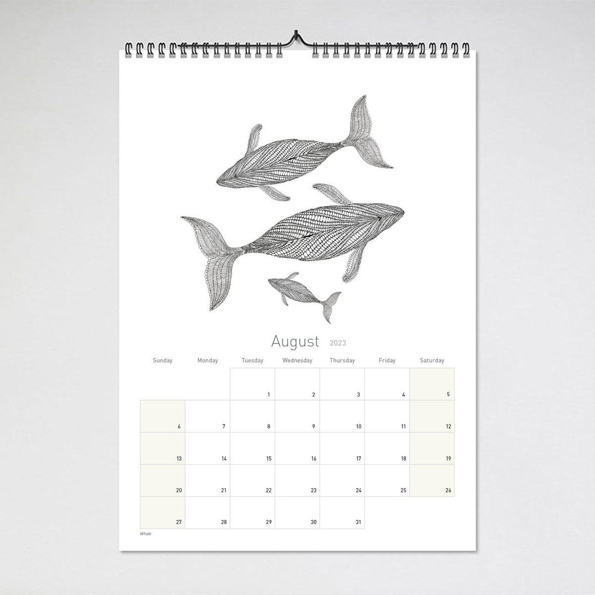  Fishing Guide 2024 Hanging Wall Caldendar : Office Products