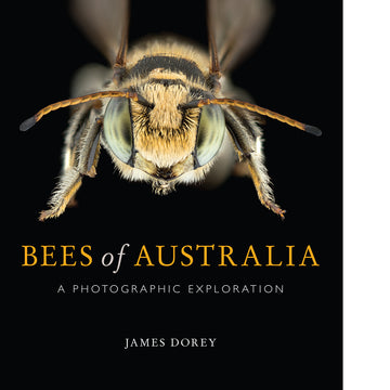 Bees Of Australia - James Dorey