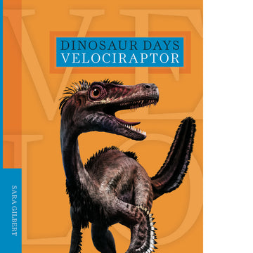Dinosaur Days Velociraptor