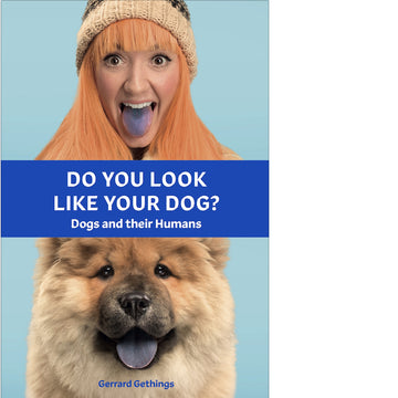 Do You Look Like Your Dog