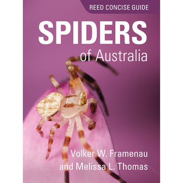Reed Concise Guide: Spiders of Australia