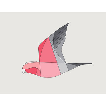 Print Medium Galah in Flight 50 x 40 cm - Eggpicnic