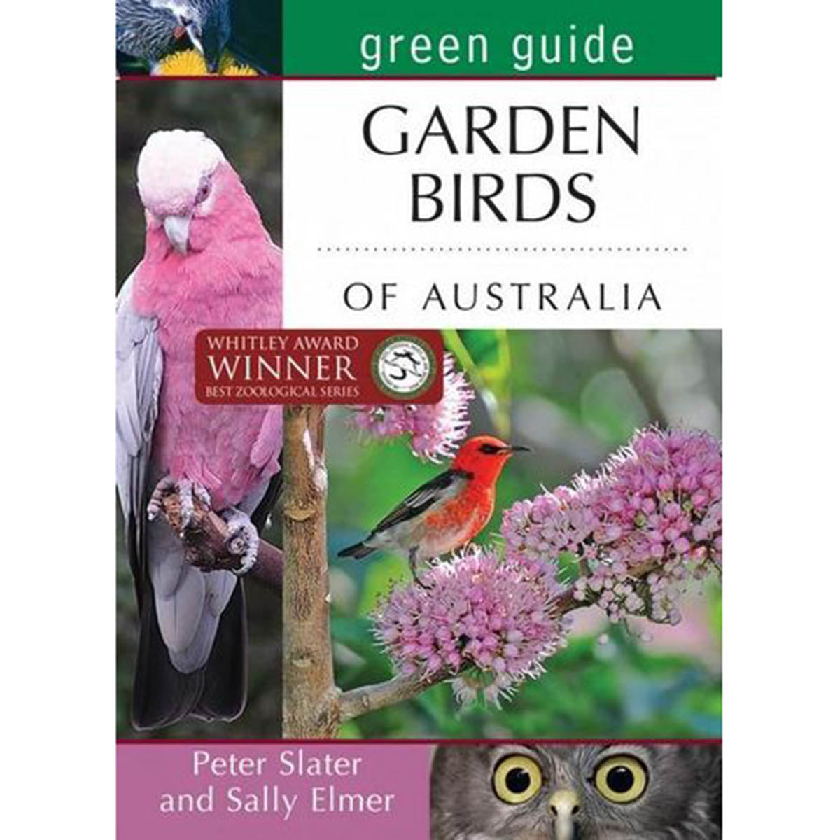 Green Guide: Garden Birds of Australia – National Museum Australia