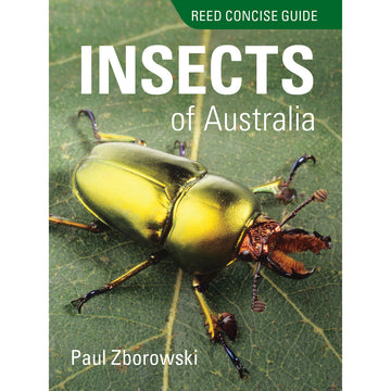 Reed Concise Guide: Insects of Australia