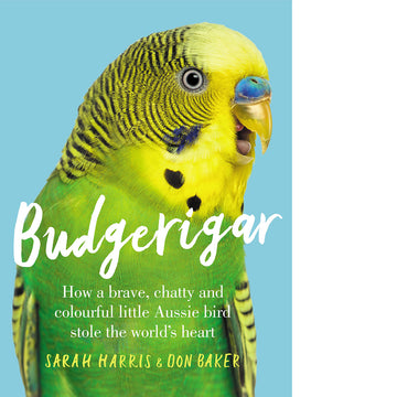 Budgerigar: How a brave, chatty and colourful little Aussie bird stole the world's heart