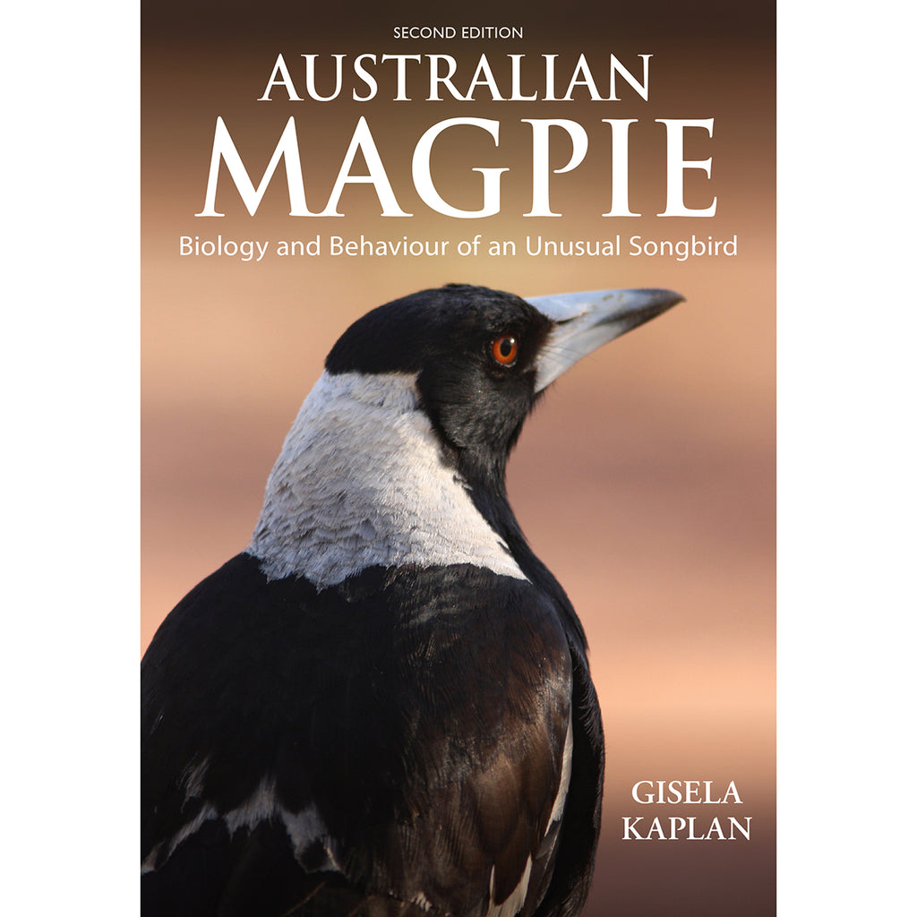 Australian Magpie-Biology and Behaviour of an Unusual Songbird ...