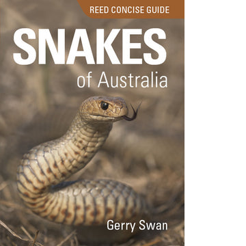 Reed Concise Guide: Snakes of Australia