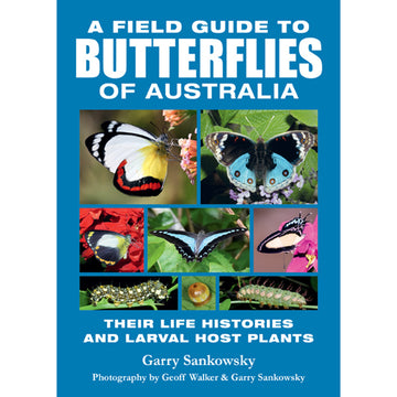 'Field Guide to Butterflies of Australia' book cover featuring a collage of photos of butterflies and caterpillars.