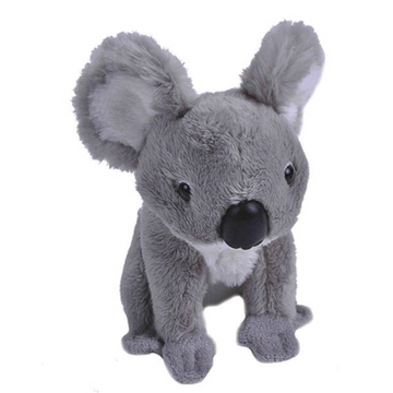 Pocketkins Koala - Wild Republic