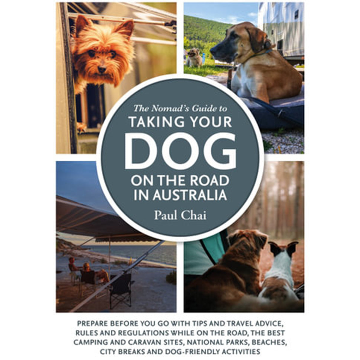 Travel Destinations Best Places To Take Your Dog The Most Dog