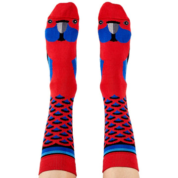 A pair of knee high socks being worn and printed with a rosella face and features.