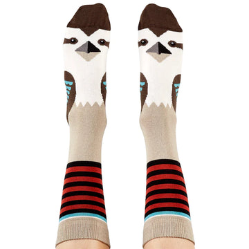 A person's legs wearing knee high socks printed with a kookaburra.