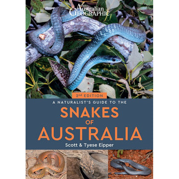 'Snakes of Australia' book cover featuring four photos of different snakes. There is a large photo on the top half and three smaller photos on the bottom half.